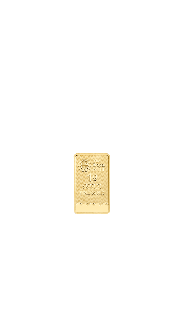 Product Image Main Back